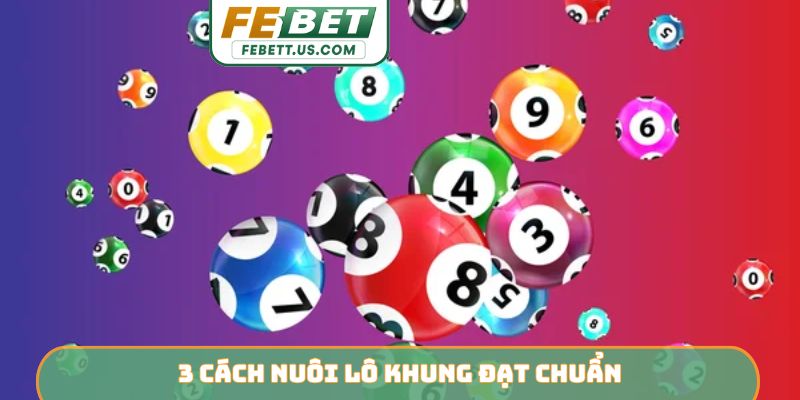 Nuôi Lô Khung FEBET - Đầu Tư Thông Minh, Lợi Nhuận Bền Vững 3 cách nuôi lô khung đạt chuẩn