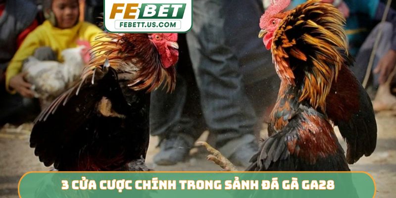 Sảnh Đá Gà GA28 FEBET - Điểm Đến Giải Trí Đẳng Cấp 3 cửa cược chính trong sảnh đá gà GA28