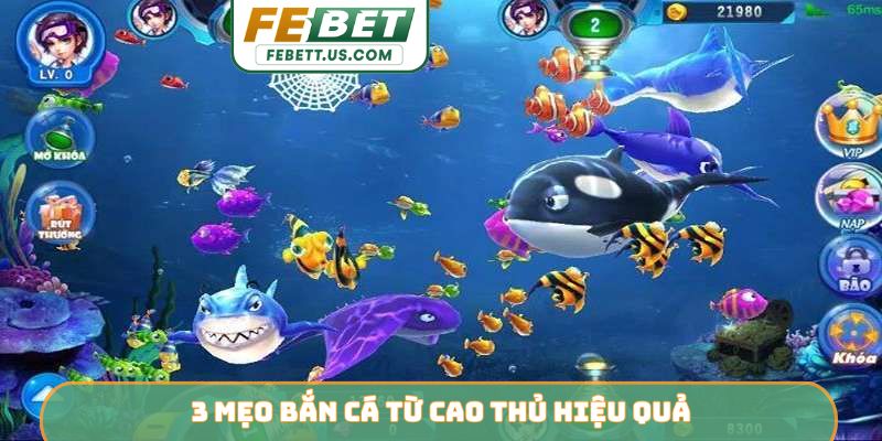 Mẹo Bắn Cá Từ Cao Thủ FEBET - Bí Quyết Thống Trị Đại Dương 3 mẹo bắn cá từ cao thủ hiệu quả