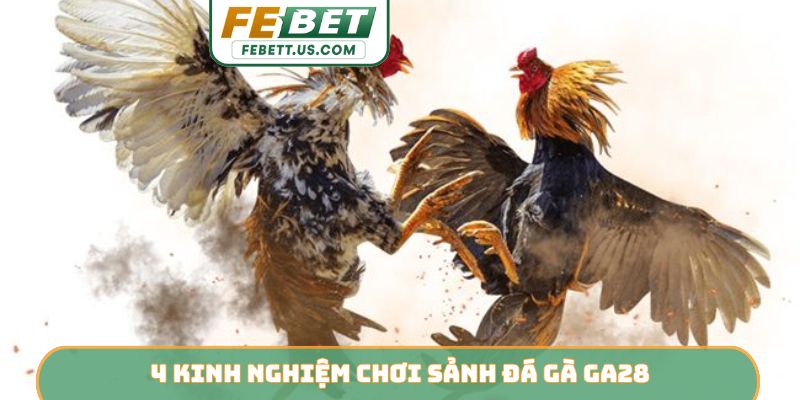 Sảnh Đá Gà GA28 FEBET - Điểm Đến Giải Trí Đẳng Cấp 4 kinh nghiệm chơi sảnh đá gà GA28