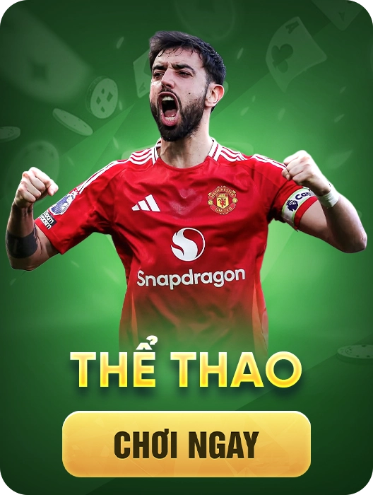 Thể thao febet