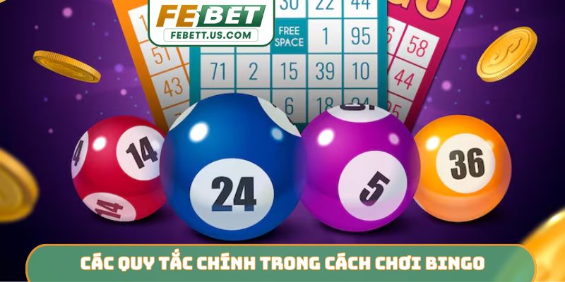 Cách Chơi Bingo - Chinh Phục Bảng Số Và Nhận Thưởng FEBET Các quy tắc chính trong cách chơi Bingo