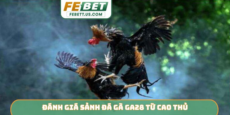 Sảnh Đá Gà GA28 FEBET - Điểm Đến Giải Trí Đẳng Cấp Đánh giá sảnh đá gà GA28 từ cao thủ