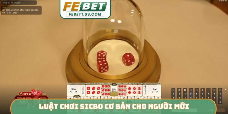 Hướng Dẫn Cách Chơi Sicbo Febet - 3 Phút Hiểu Ngay Luật chơi Sicbo cơ bản cho người mới