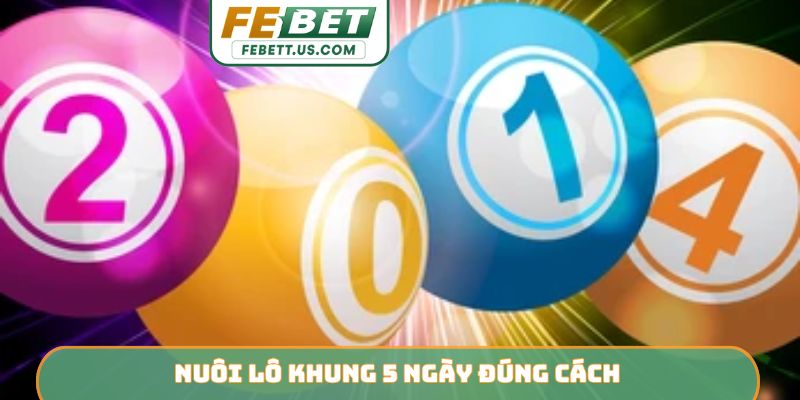Nuôi Lô Khung FEBET - Đầu Tư Thông Minh, Lợi Nhuận Bền Vững Nuôi lô khung 5 ngày đúng cách