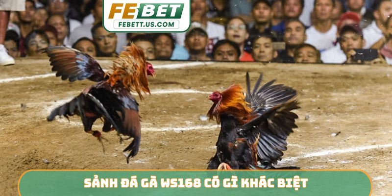 Sảnh Đá Gà WS168 - Dẫn Đầu Xu Hướng Giải Trí Trên FEBET Sảnh đá gà WS168 có gì khác biệt?