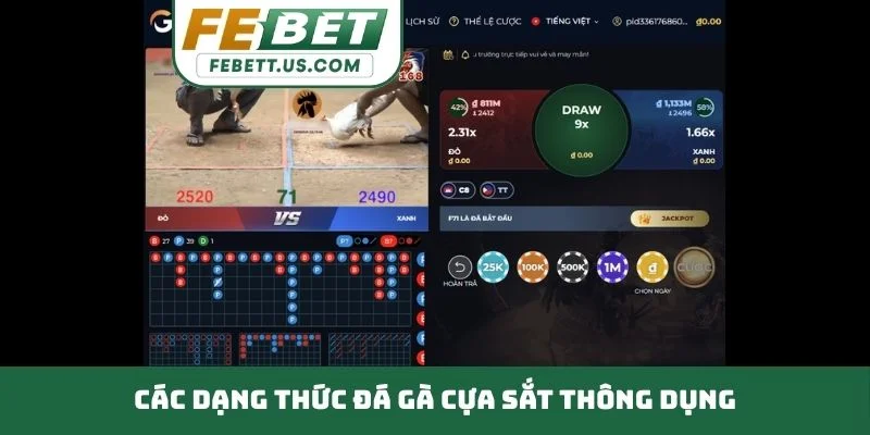 Đá Gà Cựa Sắt - Sân Chơi Đẳng Cấp Thử Thách Bản Lĩnh Kê Thủ Các dạng thức đá gà cựa sắt thông dụng