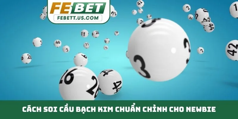 Cách soi cầu bạch kim chuẩn chỉnh cho newbie