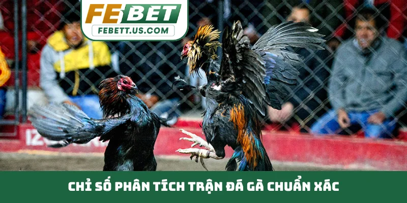 Phân Tích Trận Đá Gà Chuẩn Xác - 3 Bước Đọc Kèo Đỉnh Cao Chỉ số phân tích trận đá gà chuẩn xác