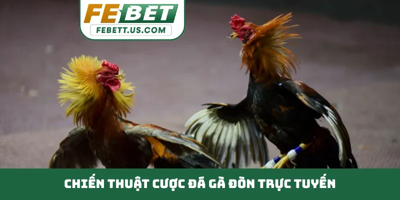 Đá Gà Đòn Đỉnh Cao Chiến Thuật, Rèn Luyện Kỹ Năng Thép Chiến thuật cược đá gà đòn trực tuyến