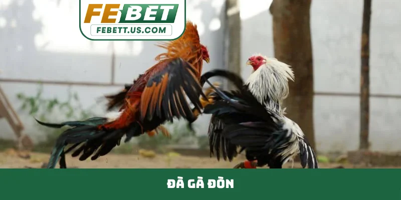 Đà gà đòn