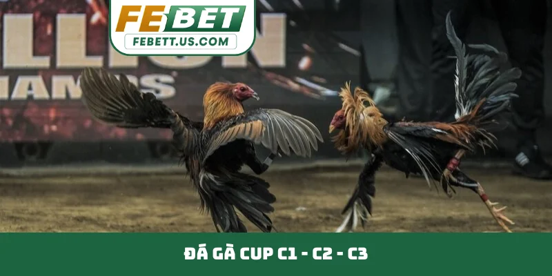 Đá gà Cup C1 - C2 - C3