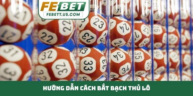 Cách bắt bạch thủ lô