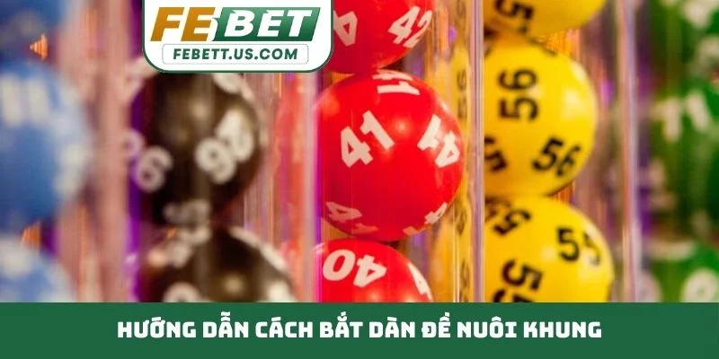 Cách bắt dàn đề nuôi khung