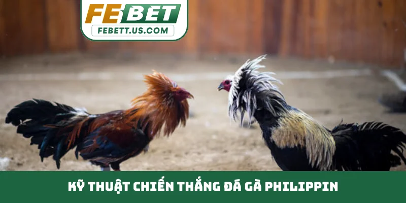 Kỹ thuật chiến thắng đá gà Philippin