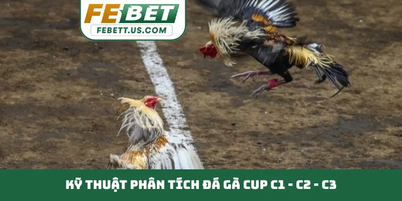 Đá Gà Cup C1 - C2 - C3 - Đấu Trường Quốc Tế Tầm Cỡ Kỹ thuật phân tích đá gà Cup C1 - C2 - C3