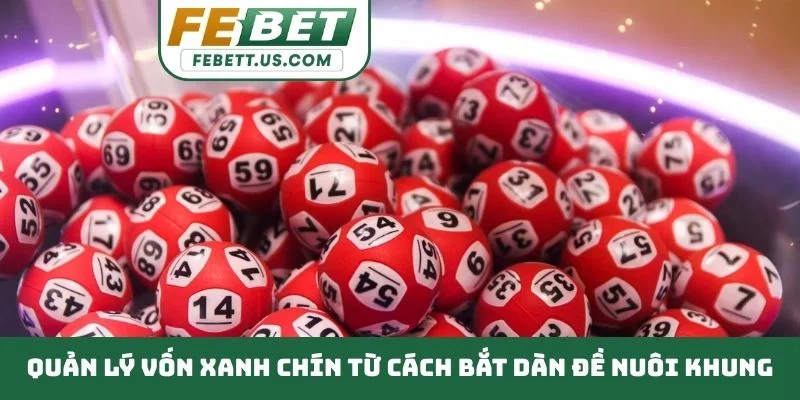 Cách Bắt Dàn Đề Nuôi Khung - Phương Pháp Đầu Tư Hiệu Quả Quản lý vốn xanh chín từ cách bắt dàn đề nuôi khung