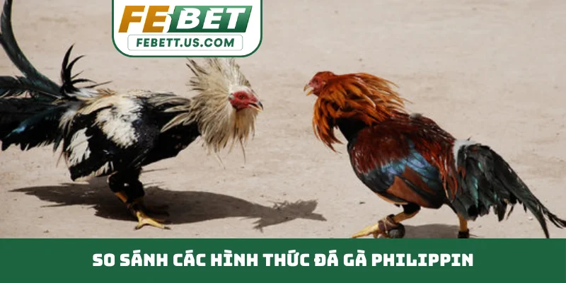 So sánh các hình thức đá gà Philippin