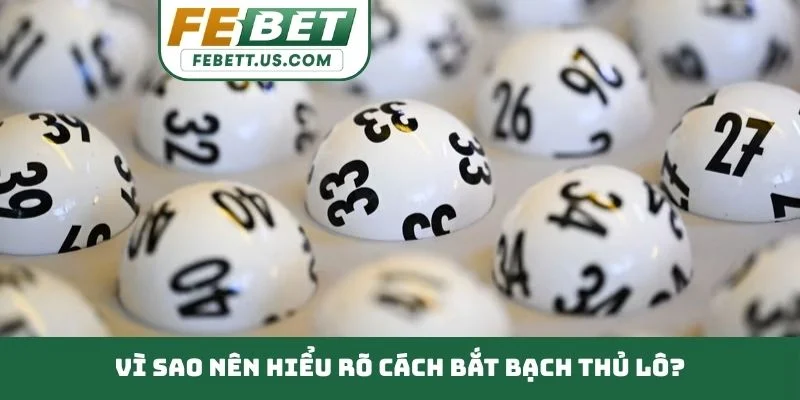Cách Bắt Bạch Thủ Lô - Phương Pháp Tìm Con Số May Mắn Vì sao nên hiểu rõ cách bắt bạch thủ lô?